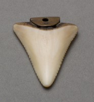 Tlingit%20artist%2C%20%3Cb%3E%3Ci%3E%20Earrings%3C%2Fi%3E%3C%2Fb%3E%2C%20ca.%201900%2C%20shark%20teeth%20and%20copper%2C%20Museum%20Purchase%3A%20Indian%20Collection%20Subscription%20Fund%2C%20Rasmussen%20Collection%20of%20Northwest%20Coast%20Indian%20Art%2C%20no%20known%20copyright%20restrictions%2C%2048.3.803A%2CB